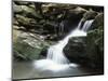 Tennessee, Great Smoky Mountains National Park, Stream with Small Waterfalls-Christopher Talbot Frank-Mounted Photographic Print