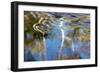 Tennessee. Great Smoky Mountains National Park-Judith Zimmerman-Framed Photographic Print