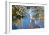 Tennessee. Great Smoky Mountains National Park-Judith Zimmerman-Framed Photographic Print