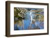 Tennessee. Great Smoky Mountains National Park-Judith Zimmerman-Framed Photographic Print