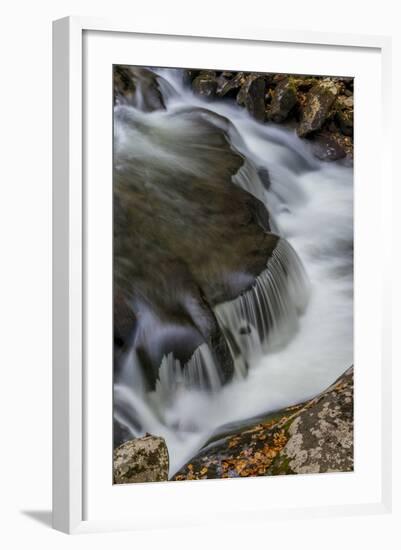 Tennessee, Great Smoky Mountains National Park-Judith Zimmerman-Framed Photographic Print