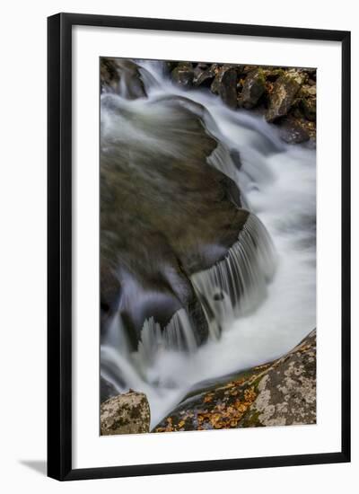 Tennessee, Great Smoky Mountains National Park-Judith Zimmerman-Framed Photographic Print