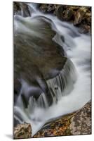 Tennessee, Great Smoky Mountains National Park-Judith Zimmerman-Mounted Photographic Print