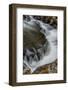 Tennessee, Great Smoky Mountains National Park-Judith Zimmerman-Framed Photographic Print