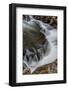 Tennessee, Great Smoky Mountains National Park-Judith Zimmerman-Framed Photographic Print