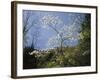 Tennessee, Great Smoky Mountains NP, Flowering Dogwood Trees (Cornus)-Christopher Talbot Frank-Framed Photographic Print