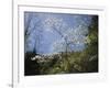 Tennessee, Great Smoky Mountains NP, Flowering Dogwood Trees (Cornus)-Christopher Talbot Frank-Framed Photographic Print