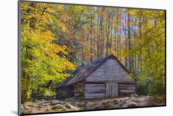 Tennessee, Great Smoky Mountains NP, Noah 'Bud' Ogle Farm-Jamie & Judy Wild-Mounted Photographic Print