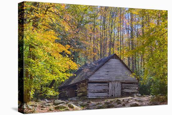 Tennessee, Great Smoky Mountains NP, Noah 'Bud' Ogle Farm-Jamie & Judy Wild-Stretched Canvas