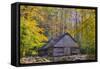 Tennessee, Great Smoky Mountains NP, Noah 'Bud' Ogle Farm-Jamie & Judy Wild-Framed Stretched Canvas