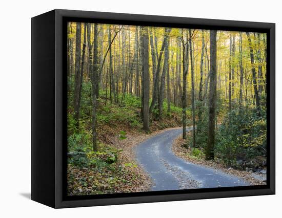 Tennessee, Great Smoky Mountains NP, Roaring Fork Motor Nature Trail-Jamie & Judy Wild-Framed Stretched Canvas