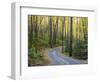 Tennessee, Great Smoky Mountains NP, Roaring Fork Motor Nature Trail-Jamie & Judy Wild-Framed Photographic Print