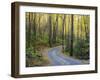 Tennessee, Great Smoky Mountains NP, Roaring Fork Motor Nature Trail-Jamie & Judy Wild-Framed Photographic Print