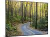 Tennessee, Great Smoky Mountains NP, Roaring Fork Motor Nature Trail-Jamie & Judy Wild-Mounted Photographic Print