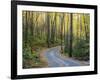 Tennessee, Great Smoky Mountains NP, Roaring Fork Motor Nature Trail-Jamie & Judy Wild-Framed Photographic Print