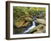 Tennessee, Great Smoky Mountains NP, Roaring Fork River-Jamie & Judy Wild-Framed Photographic Print