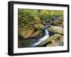 Tennessee, Great Smoky Mountains NP, Roaring Fork River-Jamie & Judy Wild-Framed Photographic Print