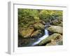 Tennessee, Great Smoky Mountains NP, Roaring Fork River-Jamie & Judy Wild-Framed Photographic Print