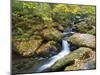 Tennessee, Great Smoky Mountains NP, Roaring Fork River-Jamie & Judy Wild-Mounted Photographic Print