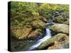 Tennessee, Great Smoky Mountains NP, Roaring Fork River-Jamie & Judy Wild-Stretched Canvas