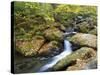 Tennessee, Great Smoky Mountains NP, Roaring Fork River-Jamie & Judy Wild-Stretched Canvas