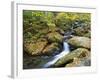 Tennessee, Great Smoky Mountains NP, Roaring Fork River-Jamie & Judy Wild-Framed Photographic Print