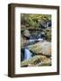 Tennessee, Great Smoky Mountains NP, Roaring Fork River-Jamie & Judy Wild-Framed Photographic Print