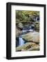 Tennessee, Great Smoky Mountains NP, Roaring Fork River-Jamie & Judy Wild-Framed Photographic Print