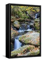 Tennessee, Great Smoky Mountains NP, Roaring Fork River-Jamie & Judy Wild-Framed Stretched Canvas