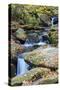 Tennessee, Great Smoky Mountains NP, Roaring Fork River-Jamie & Judy Wild-Stretched Canvas