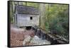 Tennessee, Great Smoky Mountains NP, Tub Mill and Millrace in a Forest-Jamie & Judy Wild-Framed Stretched Canvas