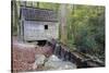 Tennessee, Great Smoky Mountains NP, Tub Mill and Millrace in a Forest-Jamie & Judy Wild-Stretched Canvas