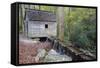 Tennessee, Great Smoky Mountains NP, Tub Mill and Millrace in a Forest-Jamie & Judy Wild-Framed Stretched Canvas