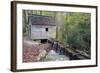 Tennessee, Great Smoky Mountains NP, Tub Mill and Millrace in a Forest-Jamie & Judy Wild-Framed Photographic Print