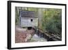 Tennessee, Great Smoky Mountains NP, Tub Mill and Millrace in a Forest-Jamie & Judy Wild-Framed Photographic Print