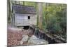 Tennessee, Great Smoky Mountains NP, Tub Mill and Millrace in a Forest-Jamie & Judy Wild-Mounted Photographic Print
