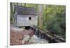 Tennessee, Great Smoky Mountains NP, Tub Mill and Millrace in a Forest-Jamie & Judy Wild-Framed Photographic Print