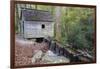 Tennessee, Great Smoky Mountains NP, Tub Mill and Millrace in a Forest-Jamie & Judy Wild-Framed Photographic Print