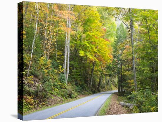 Tennessee, Great Smoky Mountains NP, View Along Little River Road-Jamie & Judy Wild-Stretched Canvas