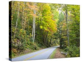 Tennessee, Great Smoky Mountains NP, View Along Little River Road-Jamie & Judy Wild-Stretched Canvas