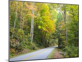 Tennessee, Great Smoky Mountains NP, View Along Little River Road-Jamie & Judy Wild-Mounted Photographic Print