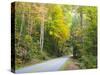 Tennessee, Great Smoky Mountains NP, View Along Little River Road-Jamie & Judy Wild-Stretched Canvas