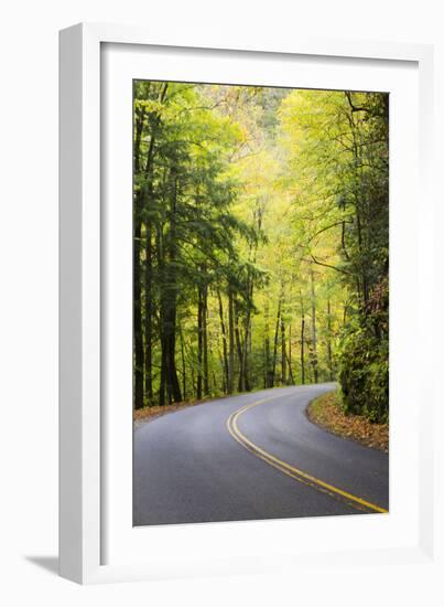 Tennessee, Great Smoky Mountains NP, View Along Little River Road-Jamie & Judy Wild-Framed Photographic Print