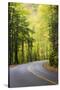 Tennessee, Great Smoky Mountains NP, View Along Little River Road-Jamie & Judy Wild-Stretched Canvas