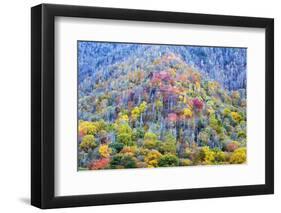 Tennessee, Great Smoky Mountains NP, View Along Newfound Gap Road-Jamie & Judy Wild-Framed Photographic Print