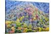 Tennessee, Great Smoky Mountains NP, View Along Newfound Gap Road-Jamie & Judy Wild-Stretched Canvas