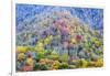 Tennessee, Great Smoky Mountains NP, View Along Newfound Gap Road-Jamie & Judy Wild-Framed Photographic Print