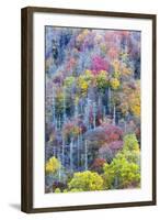 Tennessee, Great Smoky Mountains NP, View Along Newfound Gap Road-Jamie & Judy Wild-Framed Photographic Print