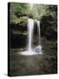 Tennessee, Great Smoky Mts National Park, Grotto Falls-Christopher Talbot Frank-Stretched Canvas