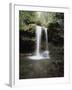 Tennessee, Great Smoky Mts National Park, Grotto Falls-Christopher Talbot Frank-Framed Photographic Print